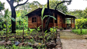 Wood Cabin - Cabana Maderas